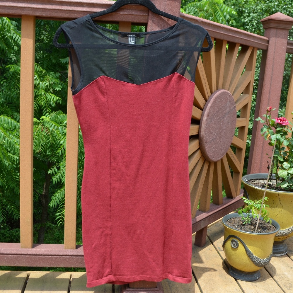 Bodycon Mesh Dress